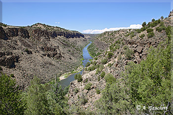 Rio Grande